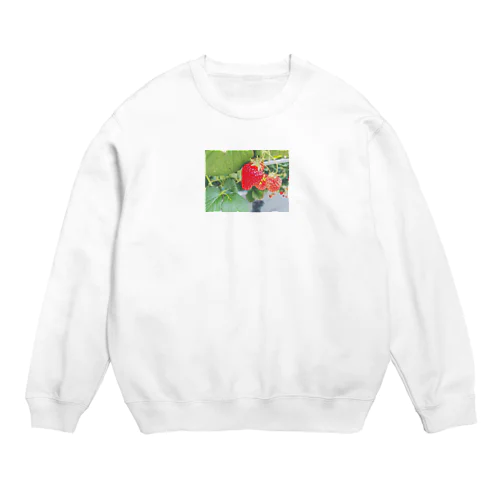 ストロベリーちゃん Crew Neck Sweatshirt