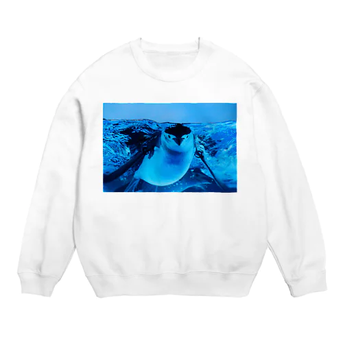 ヒゲペンギン　写真　リアル Crew Neck Sweatshirt