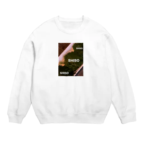 SHISO Crew Neck Sweatshirt