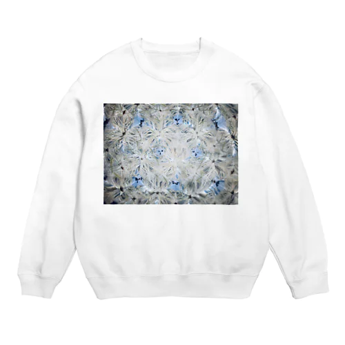 Root　1 Crew Neck Sweatshirt