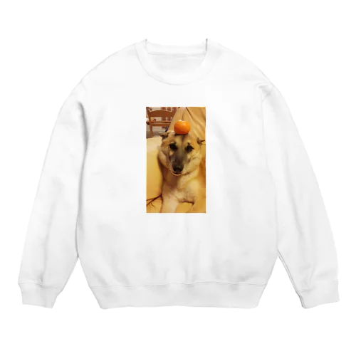 寛容の鑑の犬 Crew Neck Sweatshirt