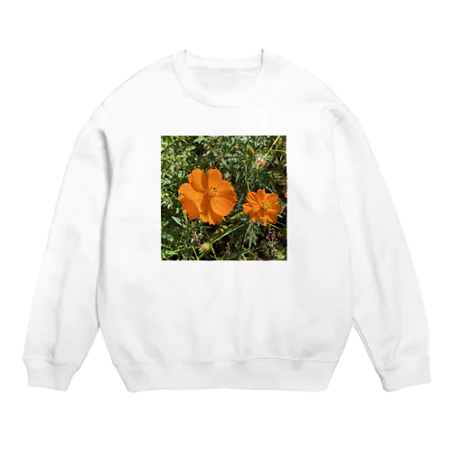 キバナコスモス Crew Neck Sweatshirt