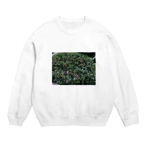 キンモクセイ Crew Neck Sweatshirt