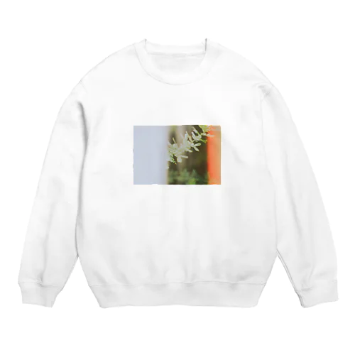 フィルム写真 Crew Neck Sweatshirt