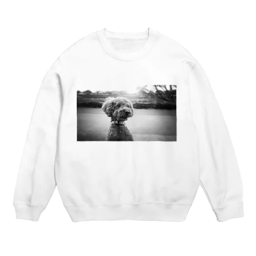 プードル Crew Neck Sweatshirt