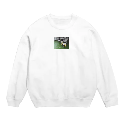 ＲＥＴＲＯ　ＰＡＮＤＡ Crew Neck Sweatshirt