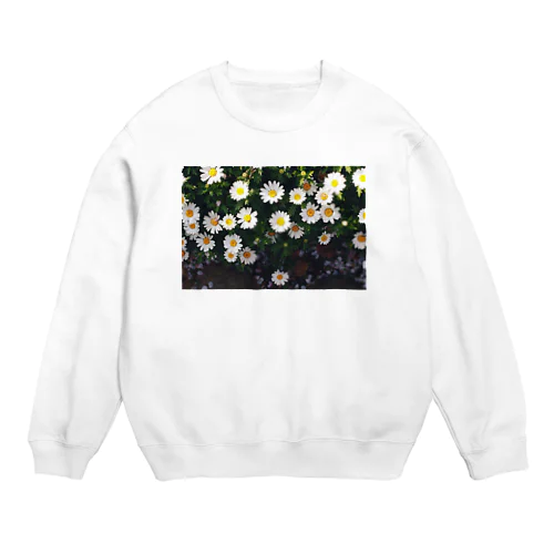 シロコスモズ Crew Neck Sweatshirt