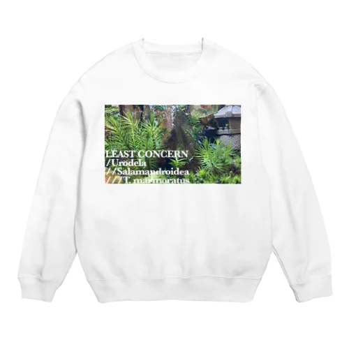 マダライモリくん Crew Neck Sweatshirt