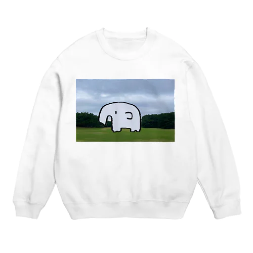 いる Crew Neck Sweatshirt