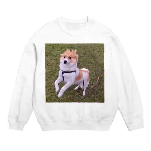 犬 Crew Neck Sweatshirt