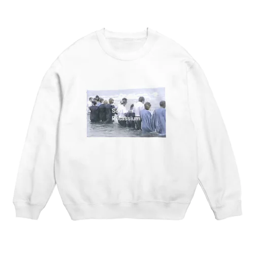 1997zinc ・sodium・potassium Crew Neck Sweatshirt