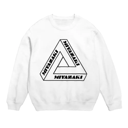 TRIANGLE Crew Neck Sweatshirt