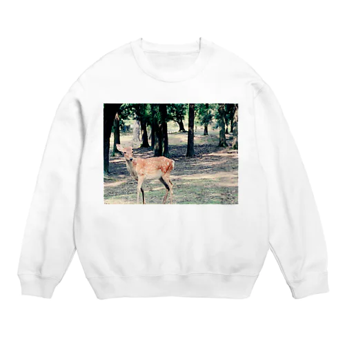 奈良の鹿ちゃん🦌 Crew Neck Sweatshirt