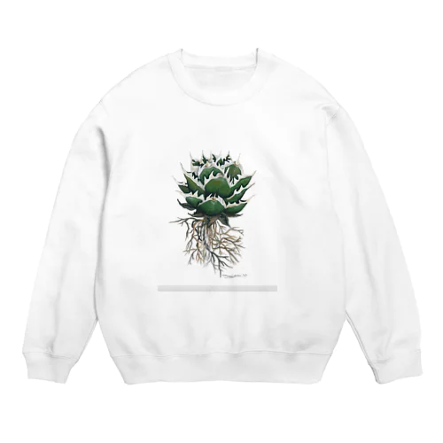 ➕ART PLANT Crew Neck Sweatshirt