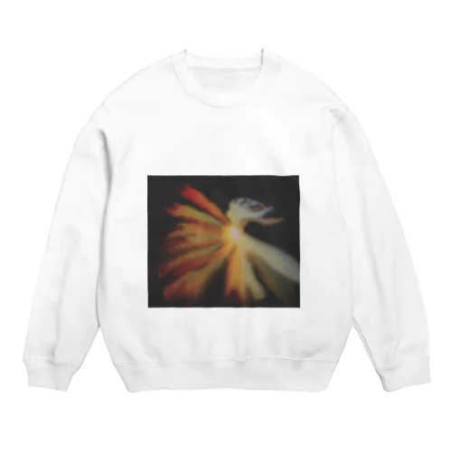 太陽TAIYO Crew Neck Sweatshirt