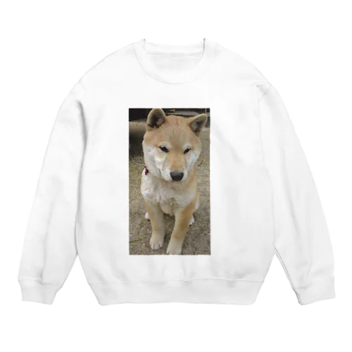 柴犬ライチ③ Crew Neck Sweatshirt