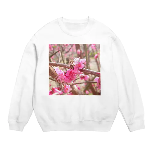 小さな世界の住人② Crew Neck Sweatshirt