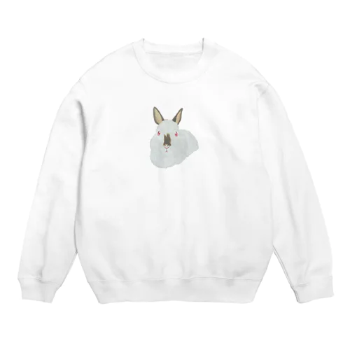 うさぎさん🐰ヒマラヤン Crew Neck Sweatshirt