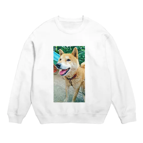 柴犬ライチ⑤ Crew Neck Sweatshirt