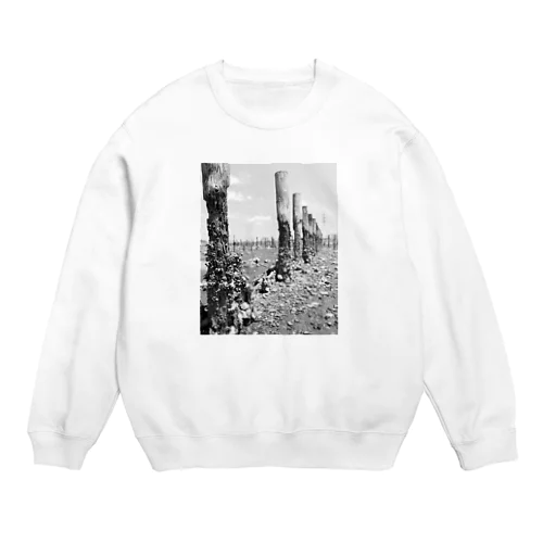 River Side Crew Neck Sweatshirt