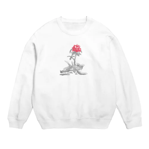 沈丁花 Crew Neck Sweatshirt