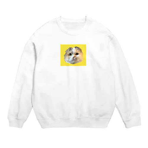 omiboy Crew Neck Sweatshirt