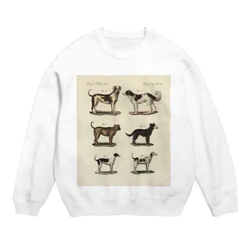1802年ドイツの犬たち Crew Neck Sweatshirt