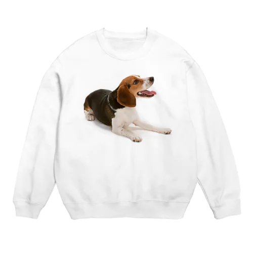 ビーグル犬 Crew Neck Sweatshirt