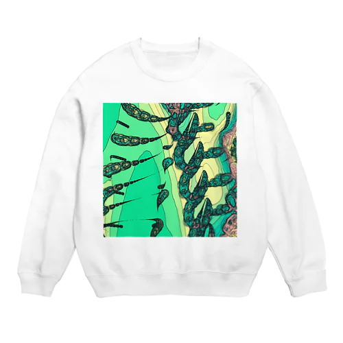 #49 A Day in Asia 202204190244 Crew Neck Sweatshirt