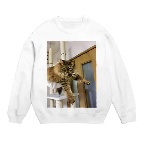 プラプラアポロ Crew Neck Sweatshirt