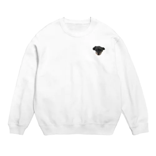 トイプードルのアポロくん Crew Neck Sweatshirt