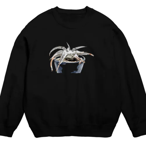 ディッキア　マルニエルラポストレイ Crew Neck Sweatshirt