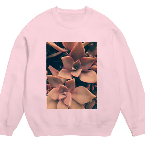 多肉植物の初恋 Crew Neck Sweatshirt