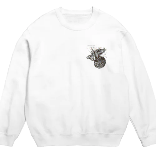 リドレイ★ Crew Neck Sweatshirt