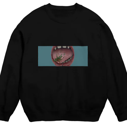 FS._012　 Crew Neck Sweatshirt