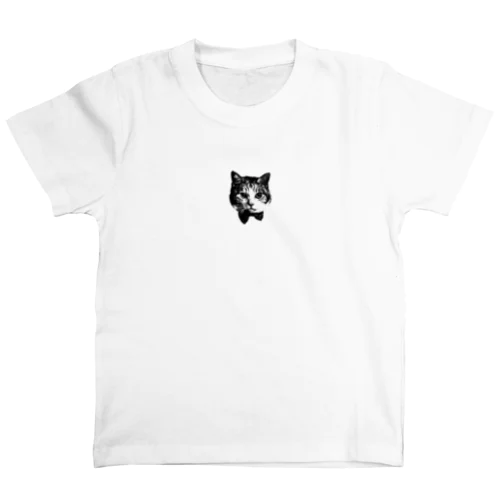 test  スタンダードTシャツ