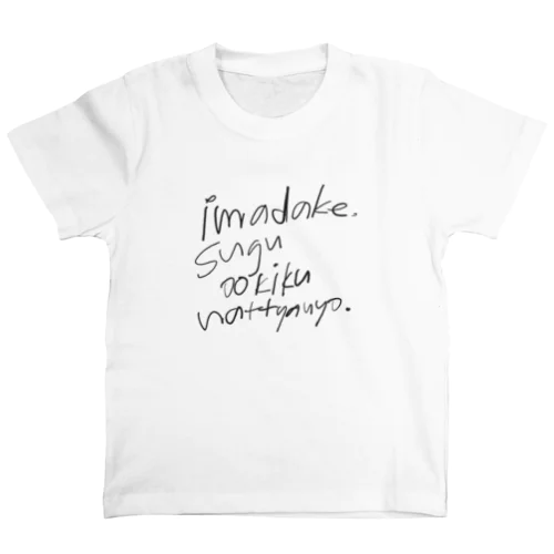 imadake スタンダードTシャツ