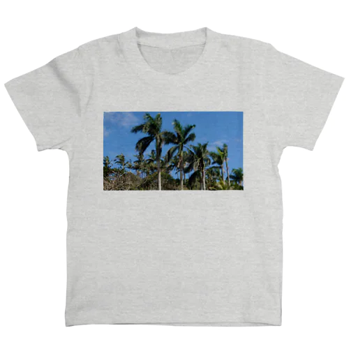 OKINAWA...mw スタンダードTシャツ