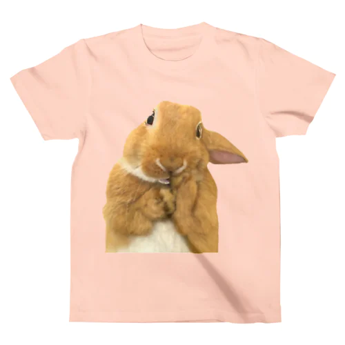 ウサギのないしょ話 スタンダードTシャツ