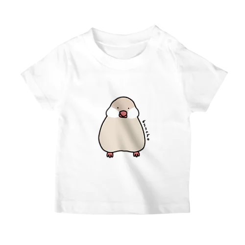 文鳥さん ｡ｏＯ スタンダードTシャツ