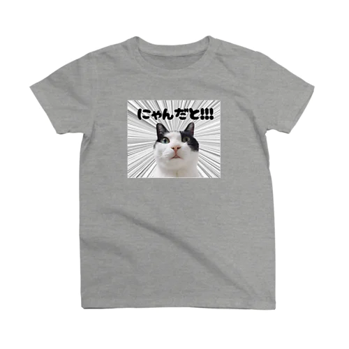 にゃんだとTシャツM スタンダードTシャツ