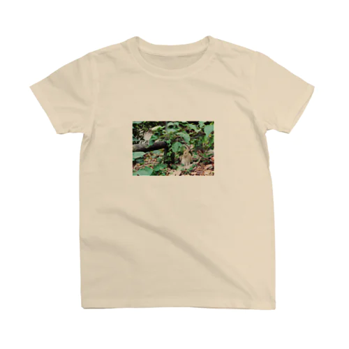 茂みの中の子ウサギ スタンダードTシャツ