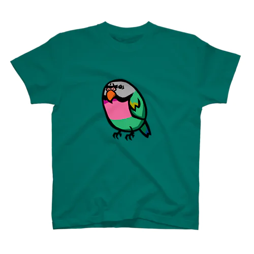 ダルマインコのカゲトラさん（ギョリギョリ） スタンダードTシャツ