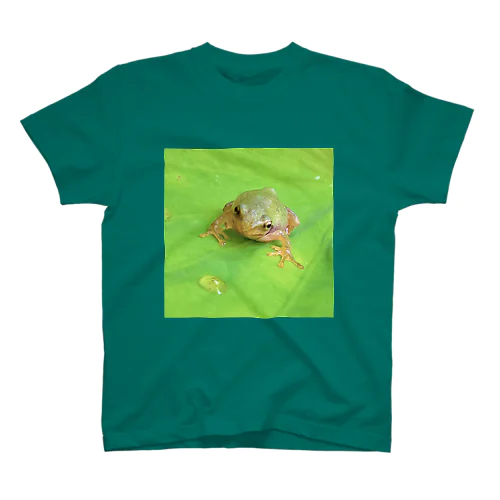 凛々蛙 Regular Fit T-Shirt