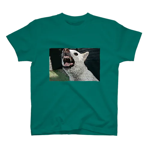 Watchdog Regular Fit T-Shirt