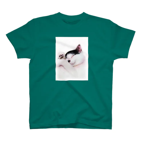にゃん太 Regular Fit T-Shirt