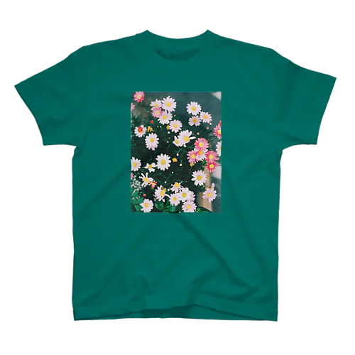 白とピンクの花 スタンダードTシャツ