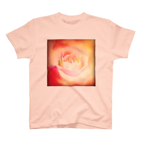 Warm Rose スタンダードTシャツ