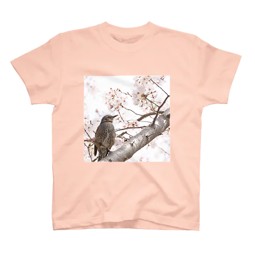 ヒヨドリと桜 スタンダードTシャツ