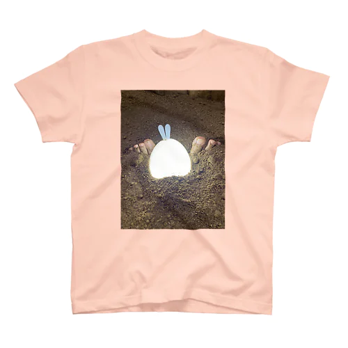 灯りウサギちゃんとぬかボー Regular Fit T-Shirt